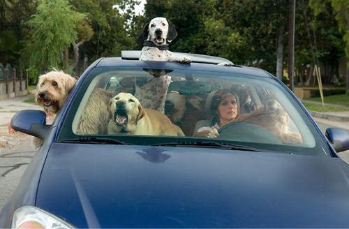 Abituare il cane alla macchina